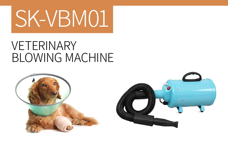 Sk-Vbm01 Professional Pet Grooming Equipment Heating Speed Adjustable Veterinary Hair Dryer Manufacturers