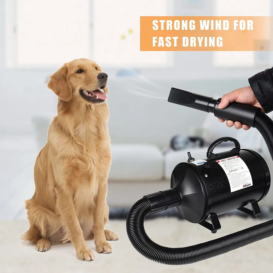 Pet Hair Grooming Force Dryer for Dog and Cat