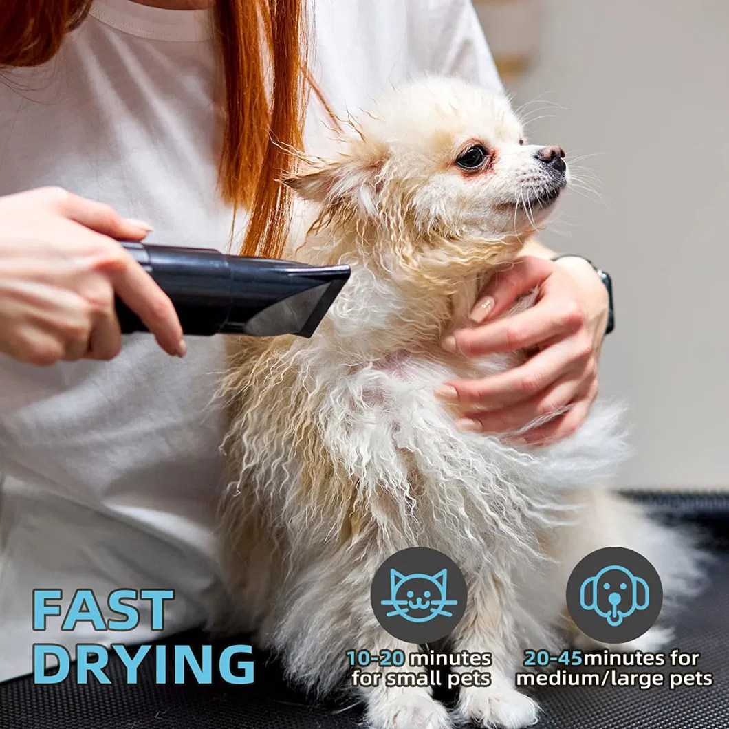 Pet Hair Grooming Force Dryer for Dog and Cat