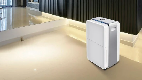 Humidité réglable/dégivrage automatique Smart 30L/jour déshumidificateur domestique APP