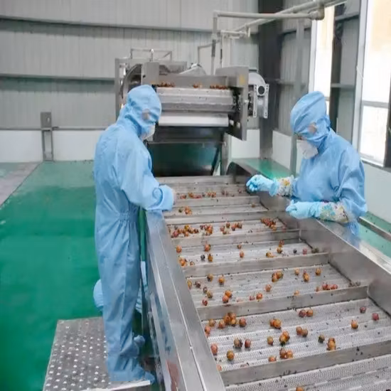 Déshydrateur alimentaire commercial traitant la Machine de séchage de fruits et légumes Machine de fruits secs